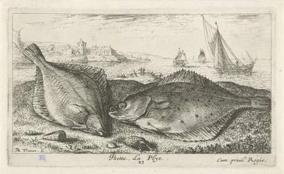 Two Flatfish on the Beach (Saltwater Series)