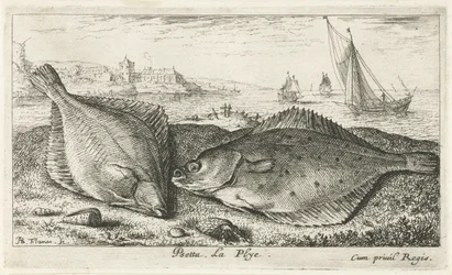 Two Flatfish on the Beach
