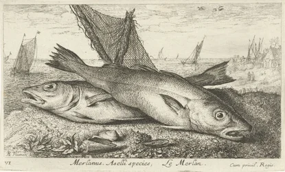 Two Whiting on the Beach