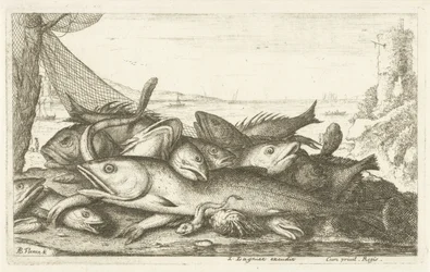 Fishing with Hermit Crab (Various Species of Fish)