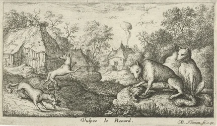 Foxes (Various Animal Species, series title)