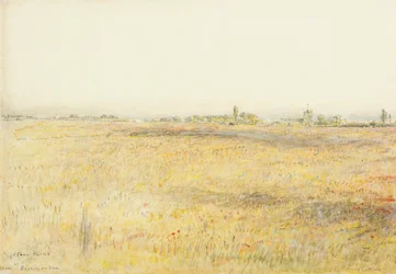 Cornfields, Hooe. Bexhill on Sea