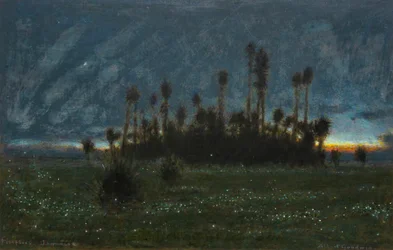 Fireflies, Jamaica