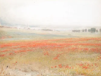 The Tares. Poppies in Corn. Salisbury