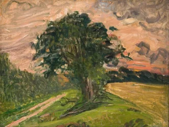 Evening Landscape. Tisvilde