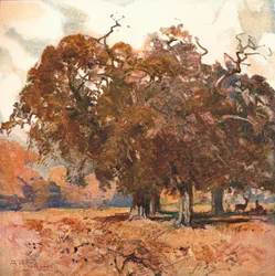 Landscape