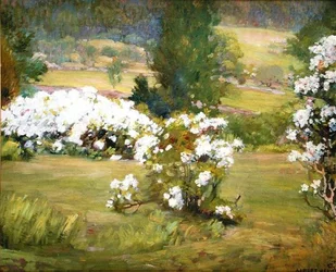 Blooming Flowers, c.1925