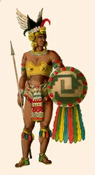 Mexican Chief