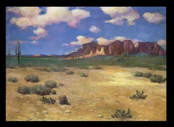Arizona Landscape