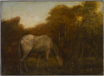 The Grazing Horse