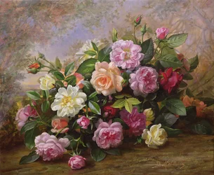 A Fantasy of Roses