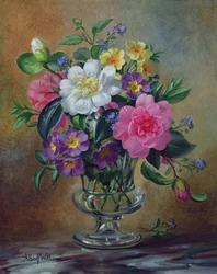Unknown Image