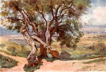 Campagna Romana, from Tivoli