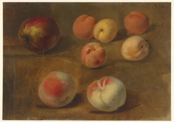 Still Life with Apple, Peaches, and Apricots