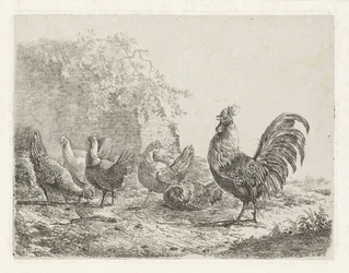 Rooster with Five Hens