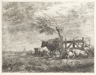 Cows by a Fence and a Pollard Willow