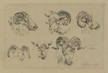 Five Ram Heads and a Sheep Head