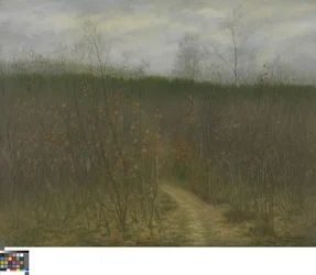 Coppice at Sint-Martens-Latem