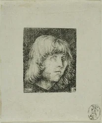Head of a Young Man