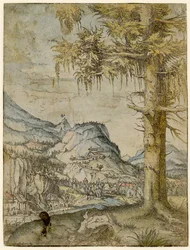 Large Spruce