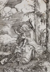 Virgin and Child in a Landscape
