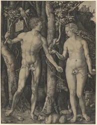 Adam and Eve