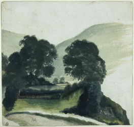 Group of Trees with a Path in the Mountains