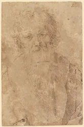 Bearded old man
