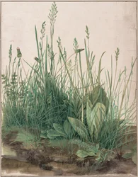 The Great Piece of Turf
