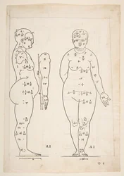 Illustration from Dürer