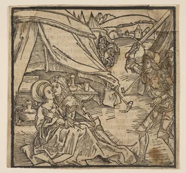 Illustration from the Ritter von Turn