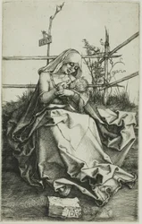 Madonna on a Grassy Bank