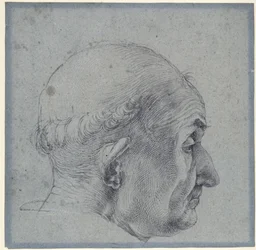Male Head in Profile