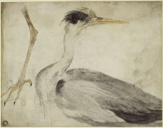 Heron