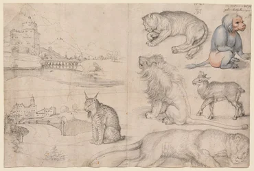 Sketches of Animals and Landscapes