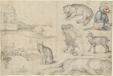Sketches of Animals and Landscapes