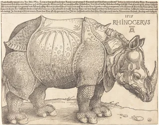 The Rhinoceros, 1515