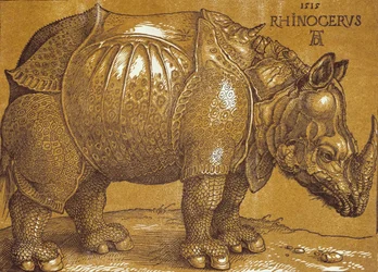 The Rhinoceros