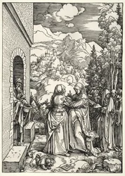 The Visitation