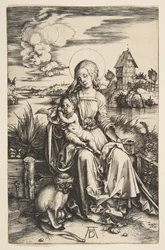 Virgin and Child with the Monkey, ca. 1498