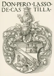Coat of Arms of Don Pedro Lasso de Castilla