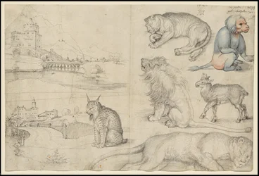 Sketches of Animals and Landscapes, 1521