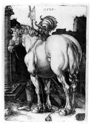 The Large Horse, 1509