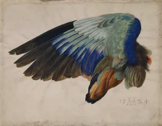 Wing of a European Roller