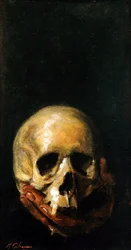 The Skull