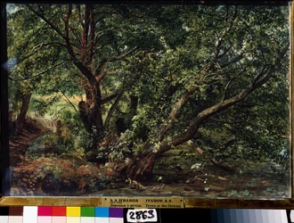 The Trees by the River