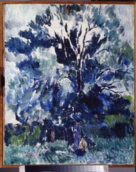 Landscape. Under the Tree