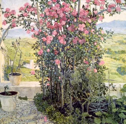 The Valley in Umbria