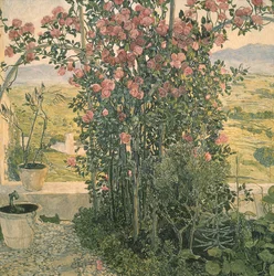 Valley in Umbria