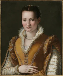 Portrait of a Young Woman